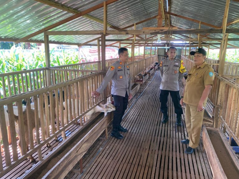 Polsek Slahung Patroli Sambang Di Peternakan Kambing Dalam Rangka Dukung Program Ketahanan Pangan