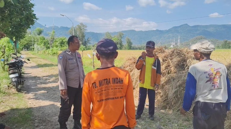 Bhabinkamtibmas Desa Broto, Kecamatan Slahung, Lakukan Pemantauan Aktivitas Warga di Area Persawahan