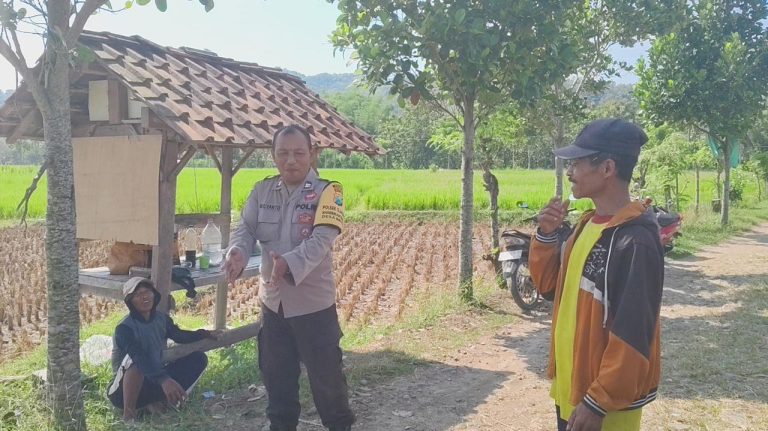 Bhabinkamtibmas Desa Broto, Kecamatan Slahung, Laksanakan Pemantauan Ketahanan Pangan Tanaman Padi