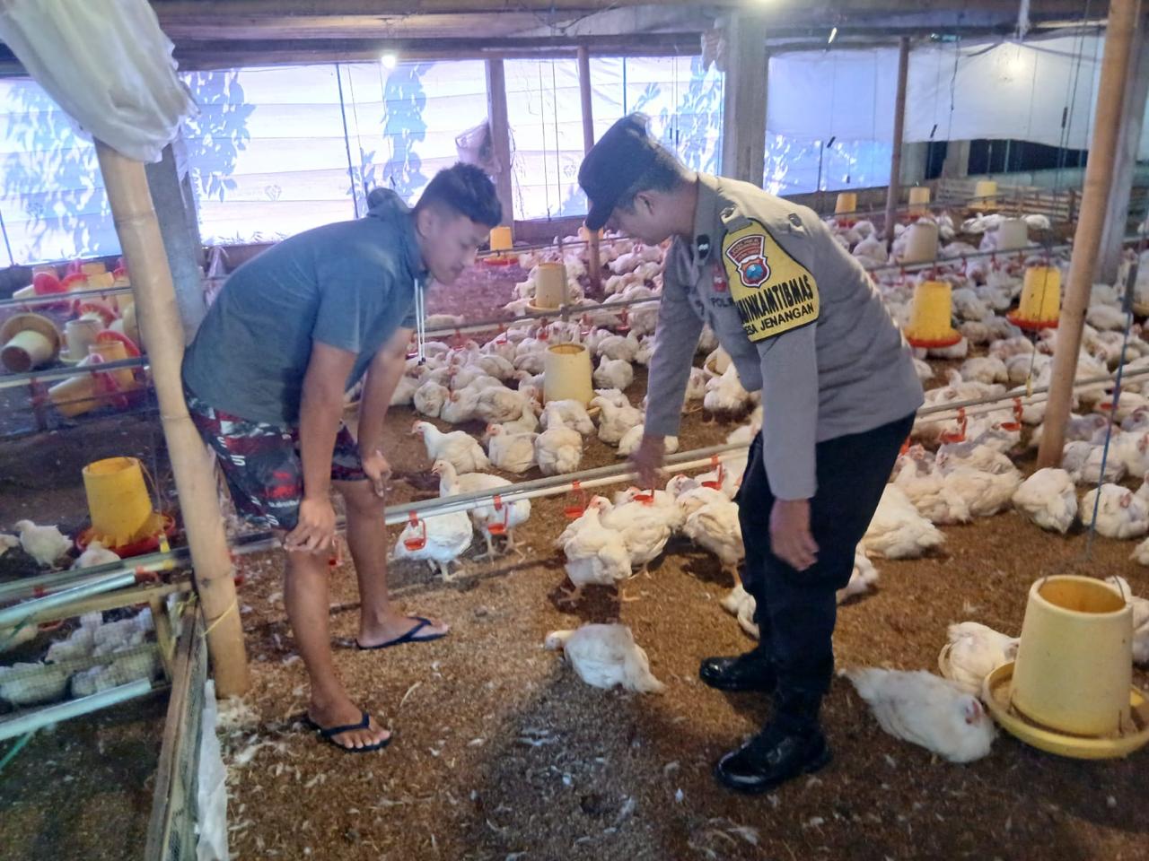 Bhabinkamtibmas Desa Jenangan Polsek Jenangan Tinjau Peternakan Ayam Warga Dukung Ketahanan Pangan