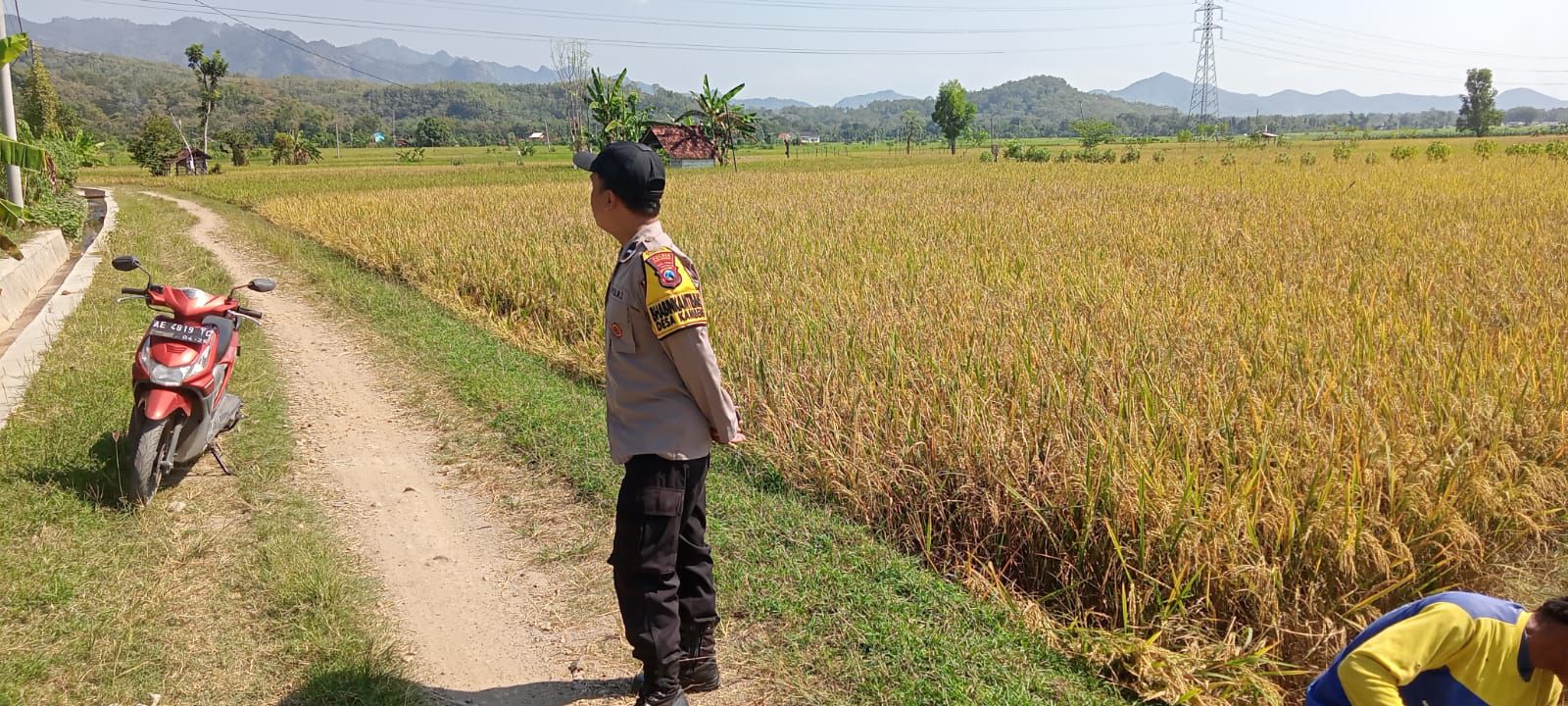 Bhabinkamtibmas Desa Kambeng Tinjau Persawahan Warga Dukung Ketahanan Pangan