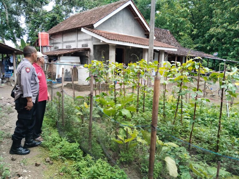 Bhabinkamtibmas Desa Nailan Polsek Slahung Sambangi Kebun Kacang Milik Warga Dukung Ketahanan Pangan