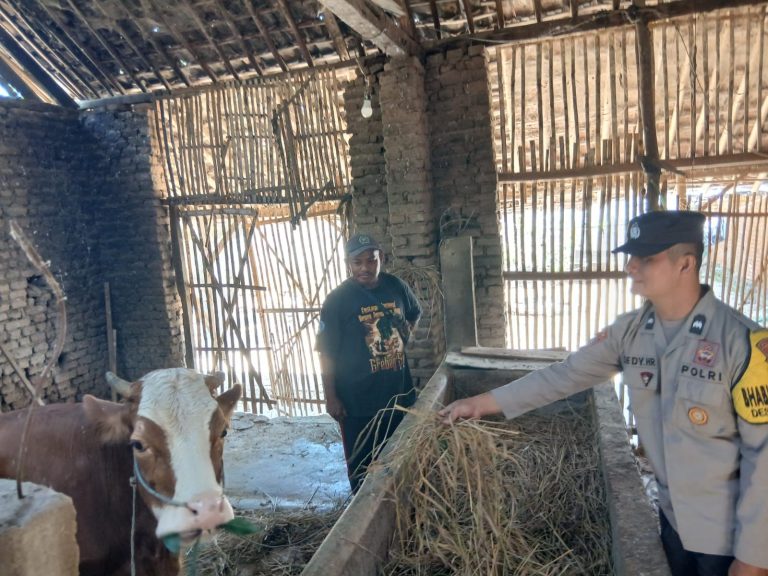 Bhabinkamtibmas Desa Jetis Polsek Jetis Sambangi Peternakan Sapi Warga Dukung Ketahanan Pangan