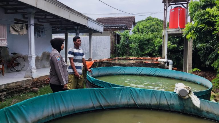 Bhabinkamtibmas Polsek Jenangan Dukung Budidaya Lele Warga Singosaren untuk Perkuat Ketahanan Pangan