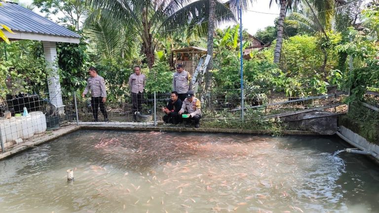 Bhabinkamtibmas Desa Jenangan Dampingi Budidaya Ikan Nila Wujudkan Ketahanan Pangan
