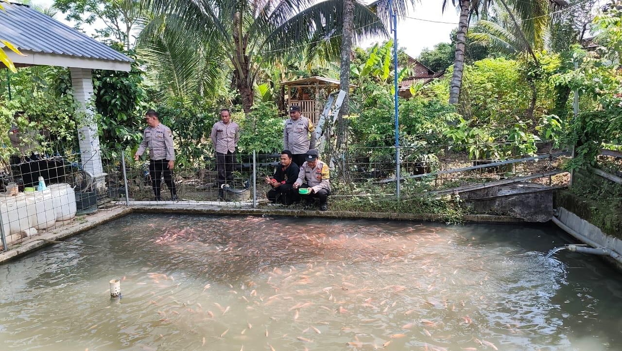 Bhabinkamtibmas Desa Jenangan Dampingi Budidaya Ikan Nila Wujudkan Ketahanan Pangan