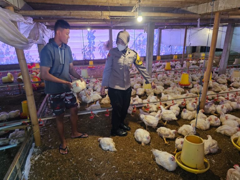 Bhabinkamtibmas Kelurahan Setono Sambangi Peternak Ayam, Perkuat Ketahanan Pangan Masyarakat
