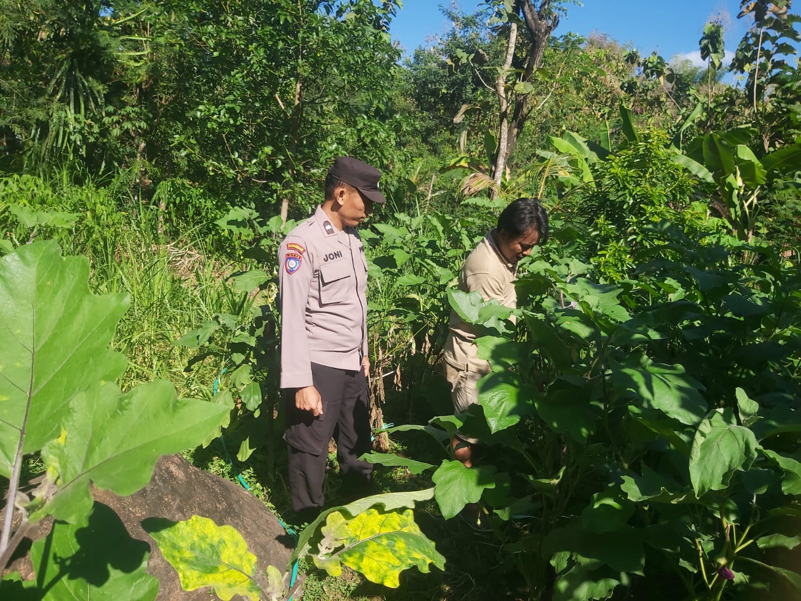 Polsek Slahung Perkuat Pendampingan Petani untuk Wujudkan Ketahanan Pangan Nasional