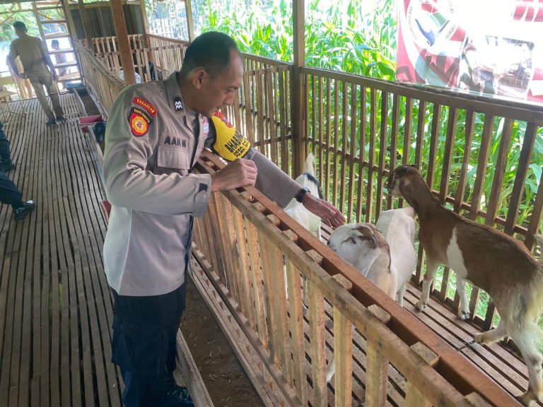 Bhabinkamtibmas Desa Nailan Tinjau Peternakan Kambing Warga untuk Dukung Ketahanan Pangan