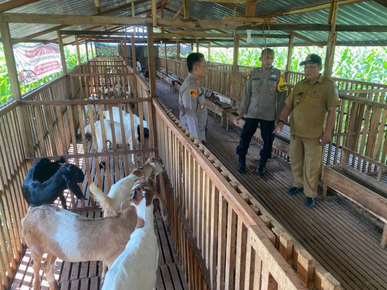 Sambangi Kandang Kambing, Bhabinkamtibmas Desa Nailan Berikan Dukungan kepada Peternak