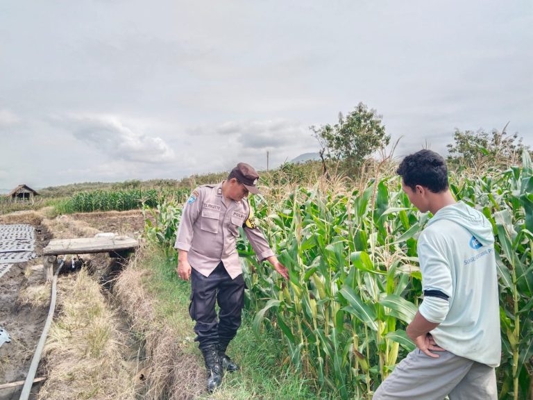 Bhabinkamtibmas Desa Carangrejo Monitoring Kesiapan Bibit Jagung Warga