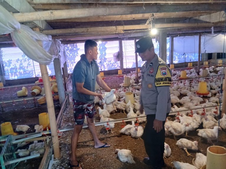 BBKTM Desa Sraten Polsek Jenangan Sambangi Peternakan Ayam Pedaging Milik Warga