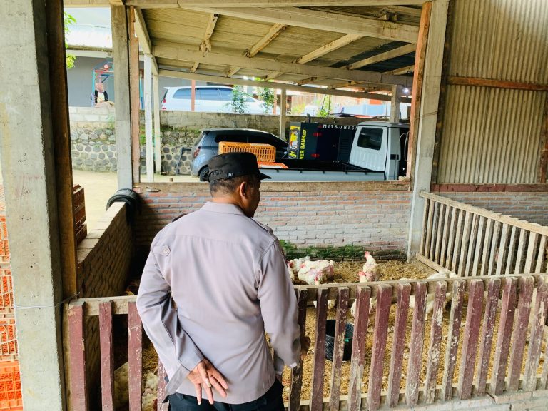 Bhabinkamtibmas Pulung Tinjau Peternakan Unggas Warga, Perkuat Ketahanan Pangan dan Ekonomi Masyarakat