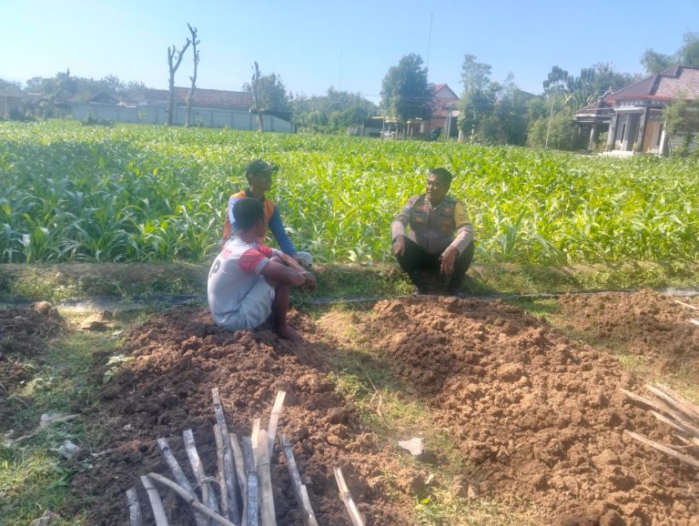 Bhabinkamtibmas Desa Jenangan Pantau Pemanfaatan Lahan Melon Warga untuk Dukung Ketahanan Pangan