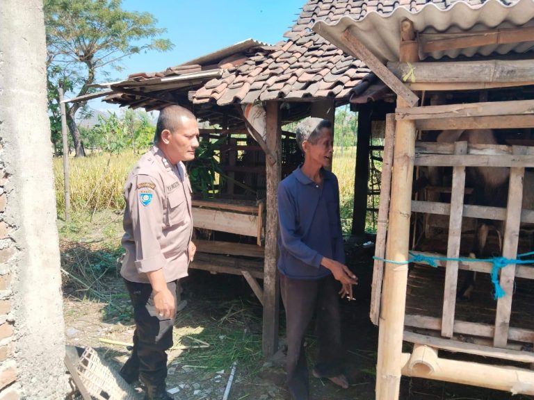 Bhabinkamtibmas Desa Galak Monitoring Peternakan Warga, Wujud Dukungan Polri terhadap Ketahanan Pangan