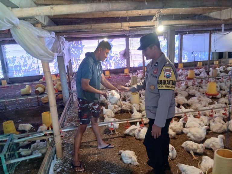 Bhabinkamtibmas Polsek Jenangan Monitoring Peternakan Ayam Pedaging Milik Warga
