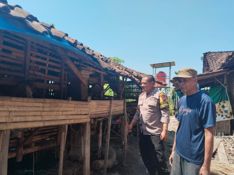 Sambangi Peternak Kambing, Bhabinkamtibmas Desa Carangrejo Dukung Ketahanan Pangan Berbasis Peternakan