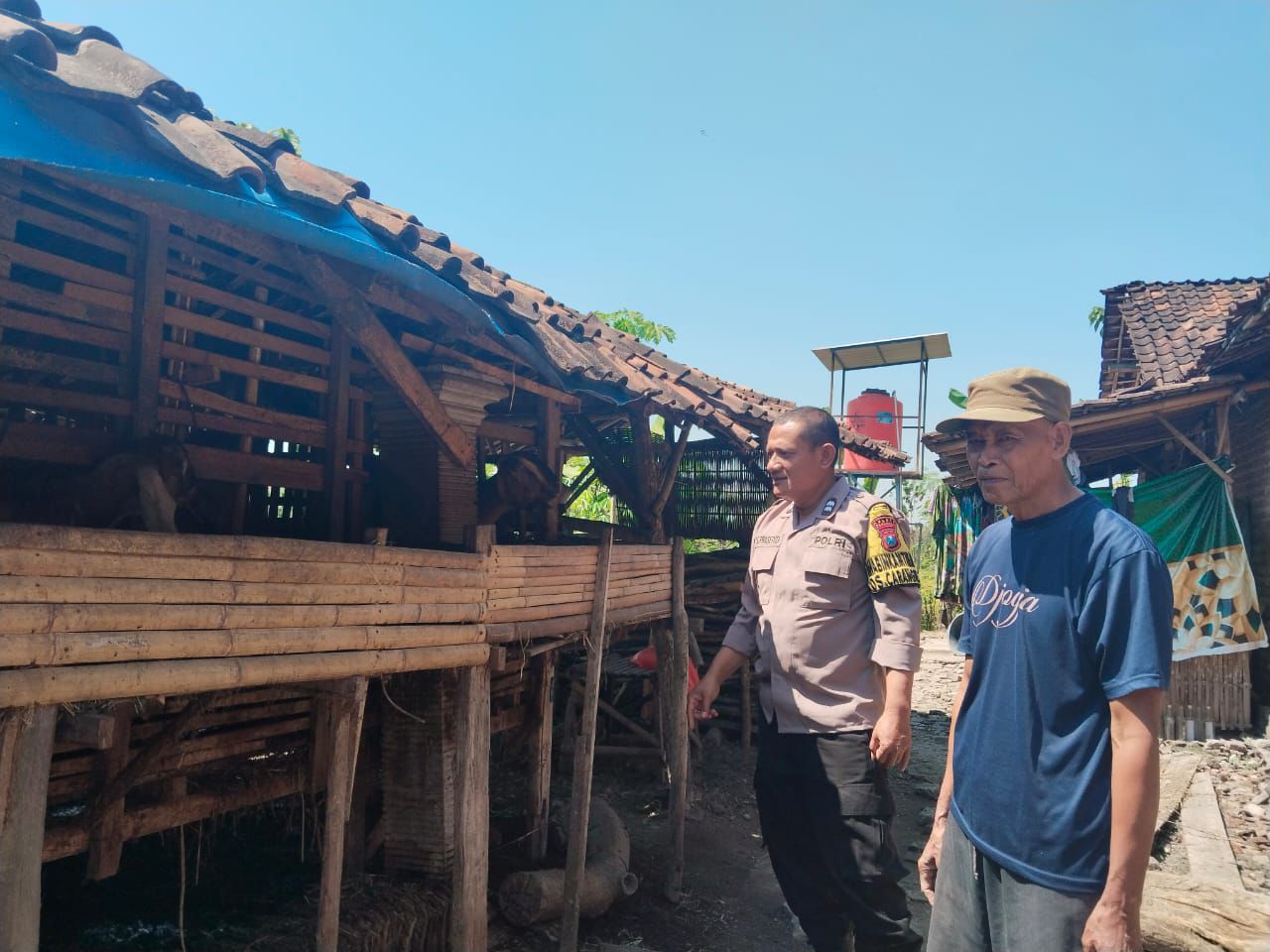 Sambangi Peternak Kambing, Bhabinkamtibmas Desa Carangrejo Dukung Ketahanan Pangan Berbasis Peternakan