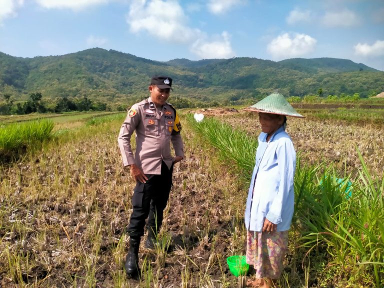 Bhabinkamtibmas Desa Broto Dukung Semangat Petani melalui Pendampingan Penanaman Jagung