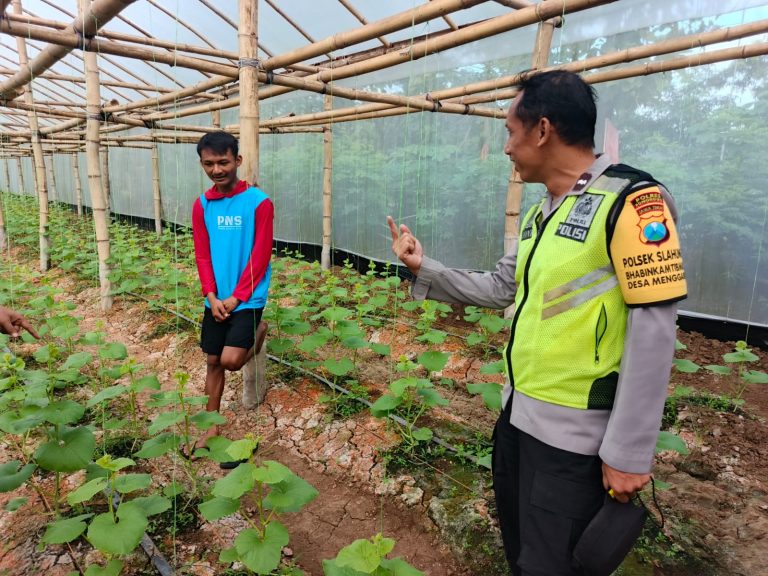 Bhabinkamtibmas Desa Menggare Monitoring Greenhouse Pertanian Warga sebagai Upaya Mendukung Ketahanan Pangan