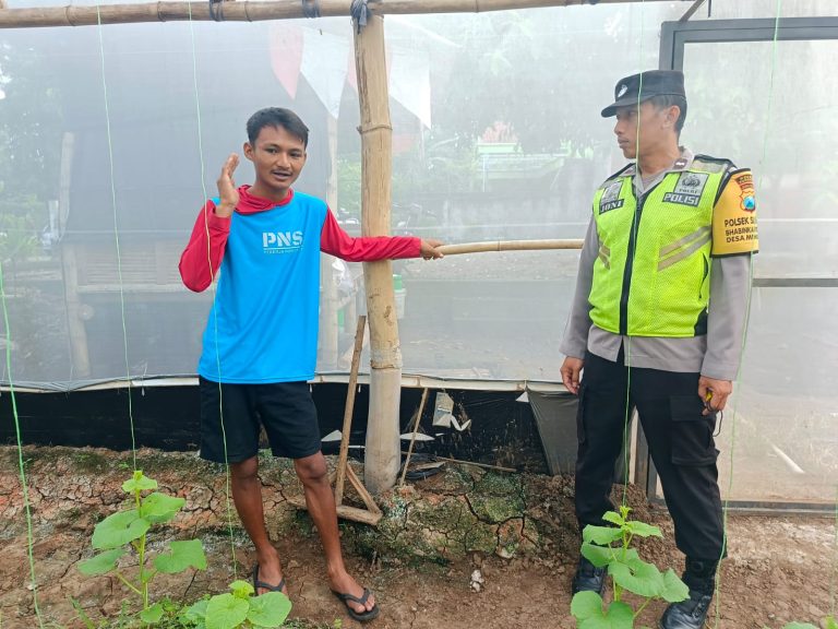 Bhabinkamtibmas Desa Menggare Tinjau Greenhouse Warga, Perkuat Ketahanan Pangan Berbasis Pertanian Modern