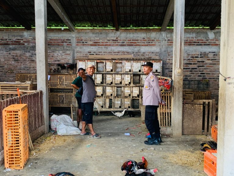 Bhabinkamtibmas Polsek Pulung Monitoring Peternakan Unggas Warga sebagai Dukungan Ketahanan Pangan