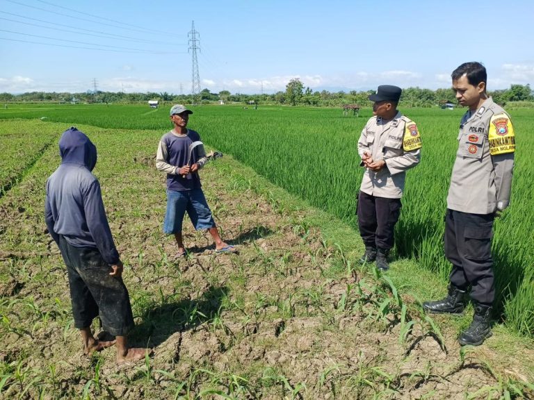 Bhabinkamtibmas Desa Pintu Monitoring Lahan Pertanian Dukung Ketahanan Pangan