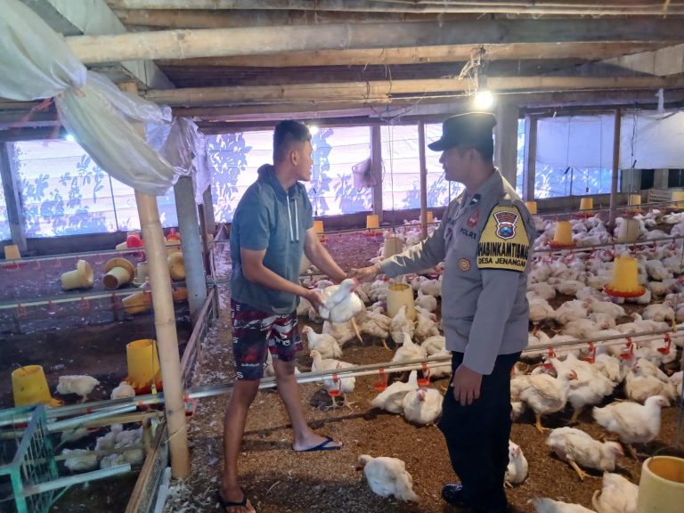 Bhabinkamtibmas Desa Jenangan Monitoring Peternakan Ayam Warga untuk Mendukung Ketahanan Pangan