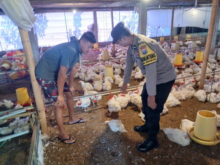 Bhabinkamtibmas Desa Jenangan Monitoring Peternakan Ayam Warga Dukung Ketahanan Pangan