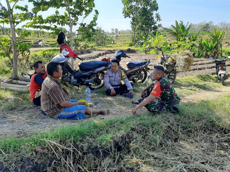 Bhabinkamtibmas Desa Karangpatihan Polsek Pulung Bersama Babinsa Sambangi Petani, Perkuat Ketahanan Pangan Nasional