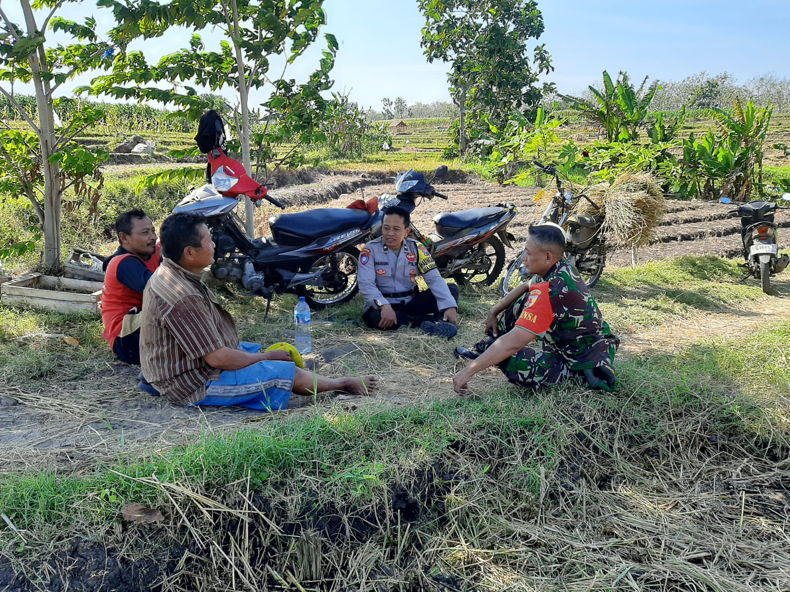 Bhabinkamtibmas Desa Karangpatihan Polsek Pulung Bersama Babinsa Sambangi Petani, Perkuat Ketahanan Pangan Nasional