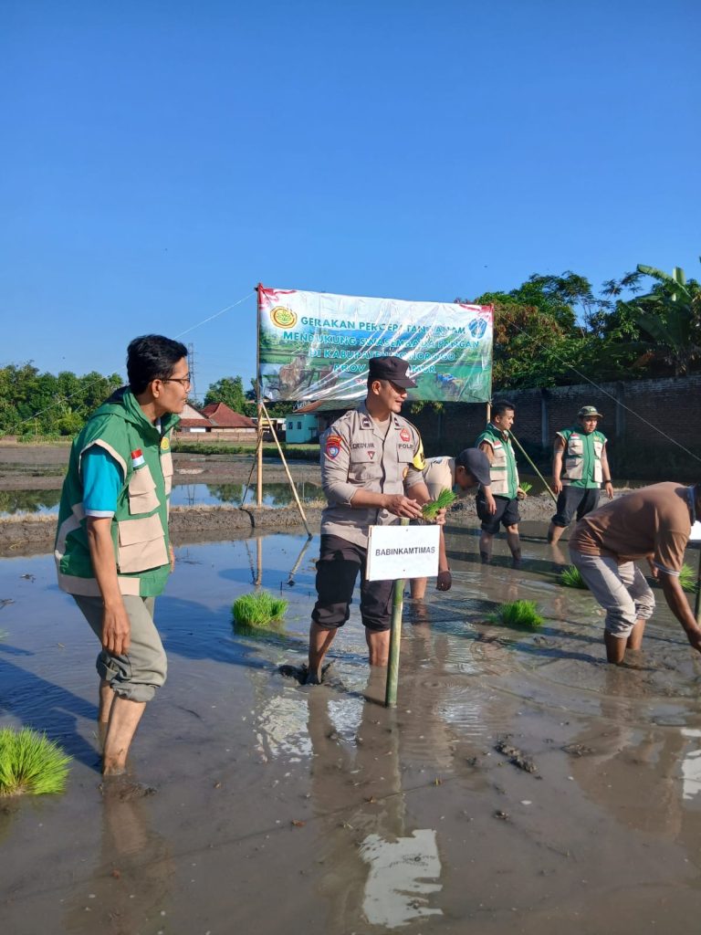 Bhabinkamtibmas Desa Jenangan Turun ke Sawah Bersama Petani, Perkuat Ketahanan Pangan Nasional