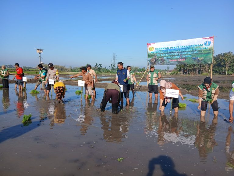 Bhabinkamtibmas Desa Jenangan Turut Serta dalam Kegiatan Tanam Padi, Wujud Nyata Dukungan Ketahanan Pangan