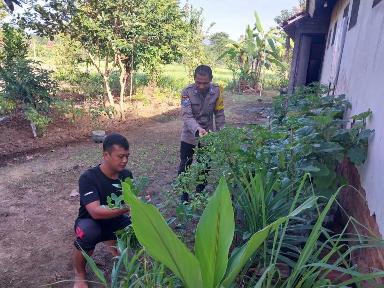 Bhabinkamtibmas Desa Ngumpul Tinjau Pekarangan Pangan Bergizi Warga, Dorong Kemandirian Pangan Keluarga