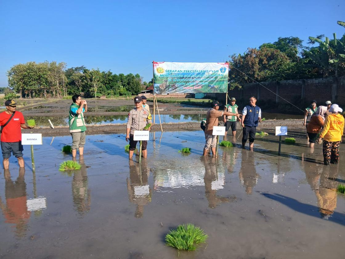 Bhabinkamtibmas Desa Jenangan Bersama Forkopimcam dan Warga Turun ke Sawah Dukung Gerakan Percepatan Tanam Padi Wujudkan Ketahanan Pangan