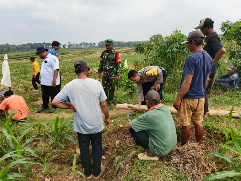 Sinergi Bhabinkamtibmas, Babinsa, dan Petani Desa Karangpatihan Perkuat Swasembada Pangan