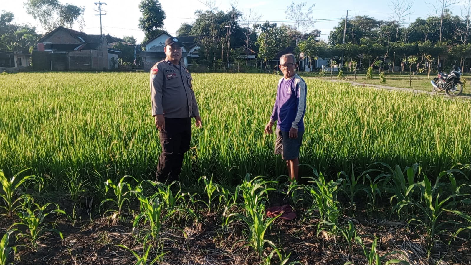 Bhabinkamtibmas Desa Menggare Sambangi Warga yang Menyiapkan Benih Jagung