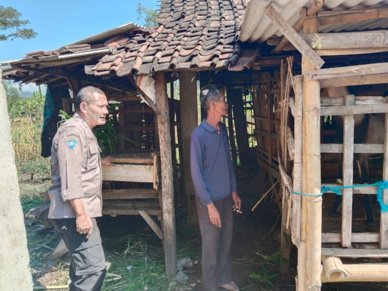 Bhabinkamtibmas Desa Menggare Monitoring Kandang Kambing Milik Warga sebagai Dukungan Ketahanan Pangan