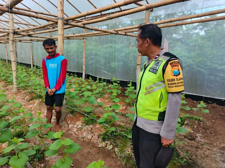 Bhabinkamtibmas Desa Menggare Monitoring Budidaya Melon Hidroponik Milik Warga
