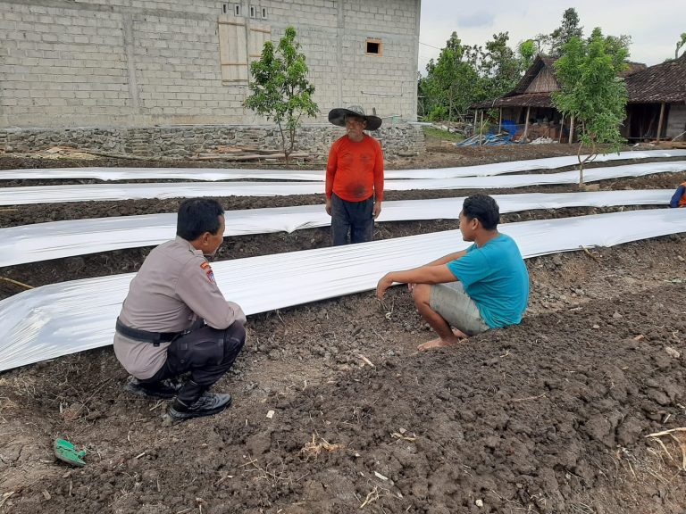 Bhabinkamtibmas Desa Menggare Dampingi Warga Menyiapkan Lahan untuk Penanaman Bawang Merah