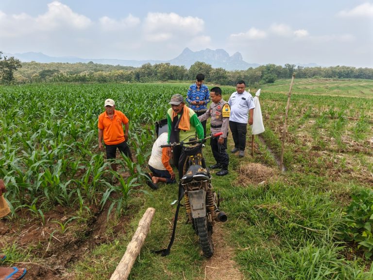 Bhabinkamtibmas Desa Karangpatihan Sambangi Lahan Jagung Warga, Wujud Dukungan Polri terhadap Ketahanan Pangan