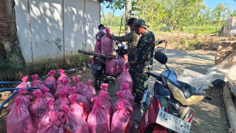 TAK CANGGUNG, ANGGOTA SATGAS TMMD KE-129 KODIM 0802/PONOROGO BANTU PANEN ‘JANGKRIK’