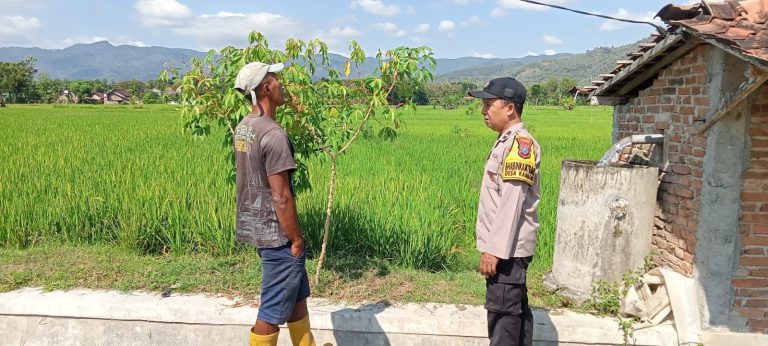 Bhabinkamtibmas Desa Jenangan Sambangi Petani Jagung, Perkuat Sinergi Dukung Ketahanan Pangan