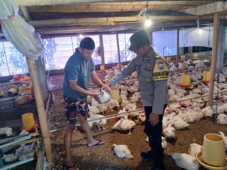 Bhabinkamtibmas Desa Jenangan Tinjau Usaha Peternakan Ayam Warga untuk Mendukung Ketahanan Pangan