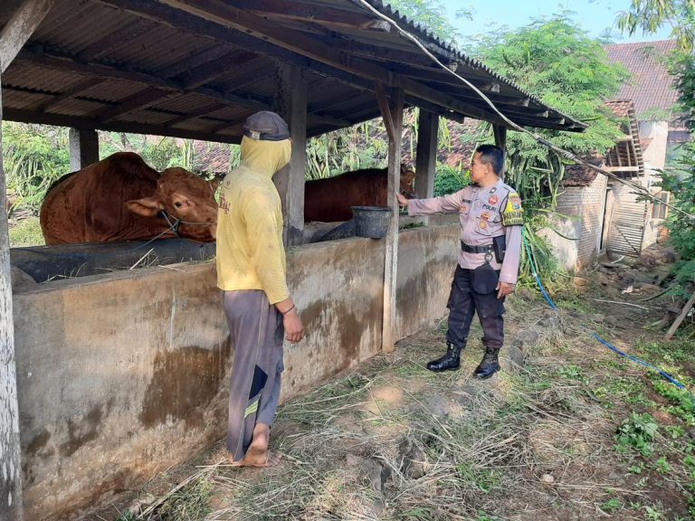 Bhabinkamtibmas Desa Karangpatihan Cek Kandang Sapi Dukung Ketahanan Pangan Hewani