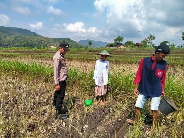 Bhabinkamtibmas Desa Karangpatihan Dampingi Warga Olah Lahan Sawah Dukung Ketahanan Pangan