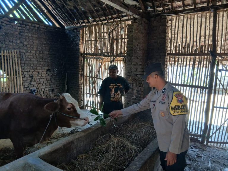 Bhabinkamtibmas Desa Plalangan Cek Lahan Cabai, Sinergi Polri dan Petani Wujudkan Ketahanan Pangan Desa