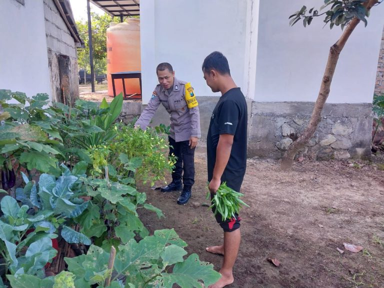 Bhabinkamtibmas Desa Karangpatihan Monitoring Tanaman Terong Milik Warga