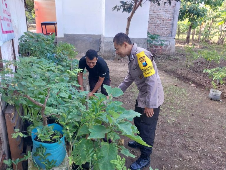 Bhabinkamtibmas Desa Ngumpul Sambangi Pekarangan Pangan Bergizi Warga, Wujud Dukungan Polri terhadap Ketahanan Pangan