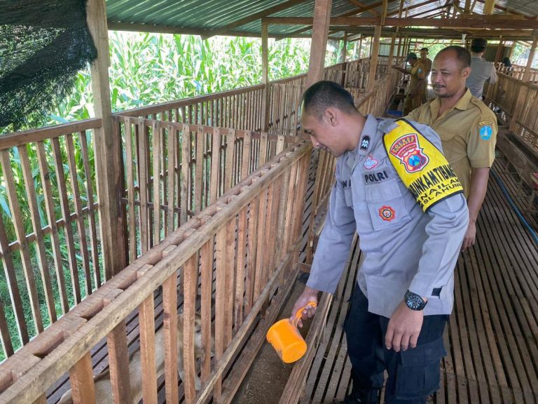 Bhabinkamtibmas Desa Nailan Polsek Slahung Perkuat Sinergi dengan Peternak Dukung Ketahanan Pangan